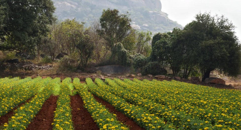 Anchetty Durgam, India